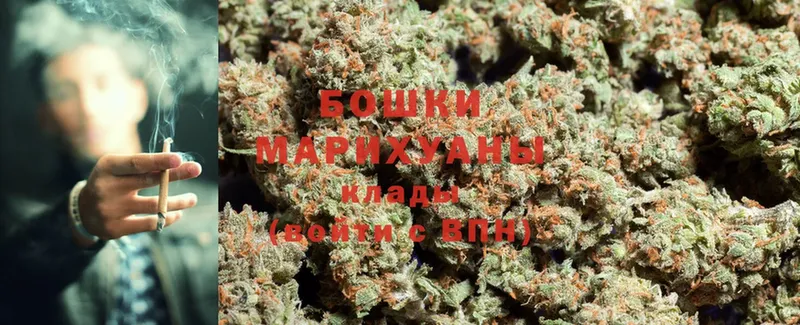 сколько стоит  Ногинск  МАРИХУАНА White Widow 